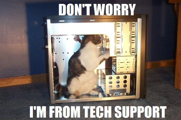 Obrázek techsupport cat