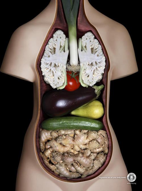 Obrázek telo vegetarianu