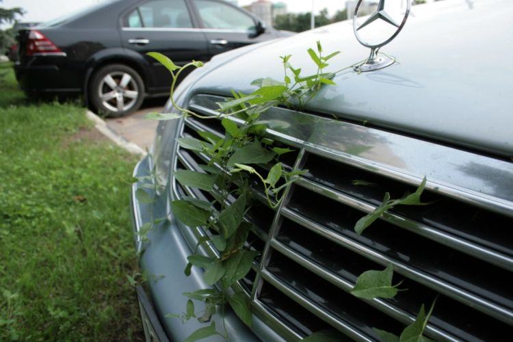 Obrázek ten mercedes tady parkuje dlouho