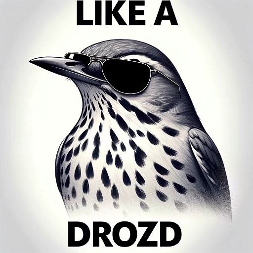 Obrázek ten pocit kdyz nemuzes najit obrazek v archivu a chatgpt ti ho ochotne vygeneruje znova