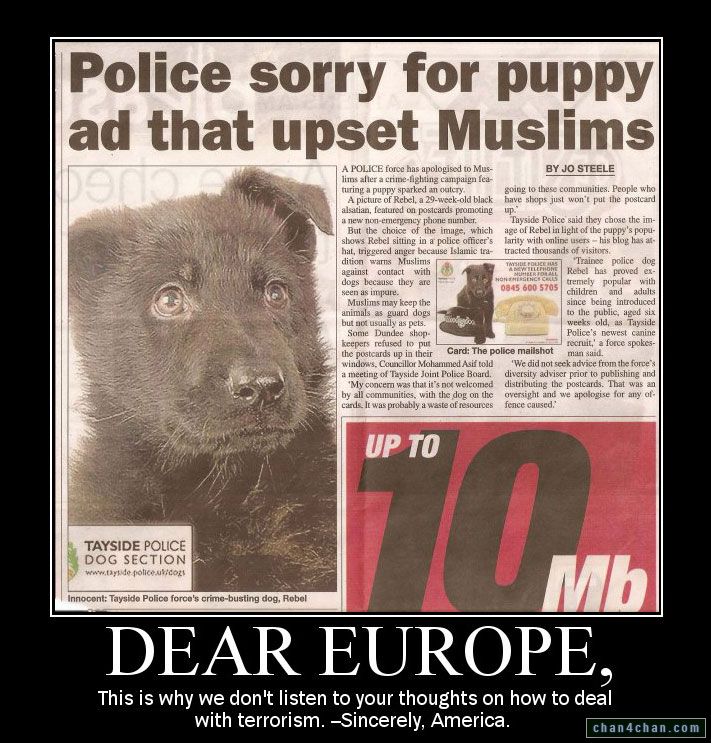 Obrázek terrorism PUPPY