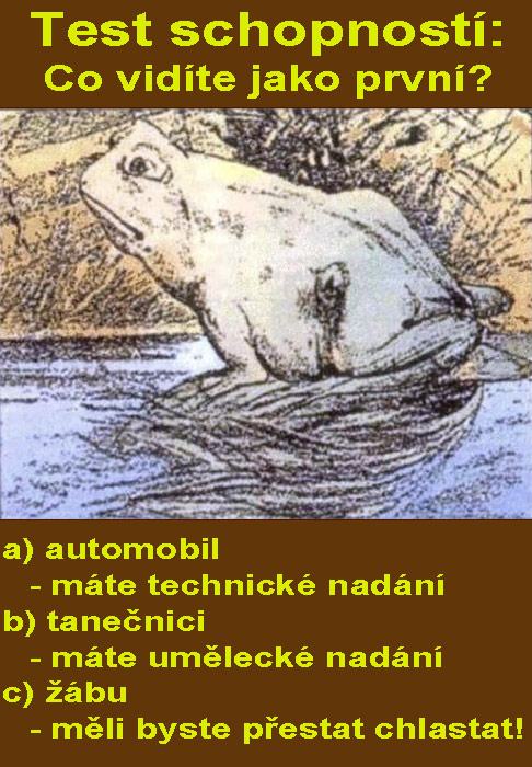 Obrázek test schopnosti