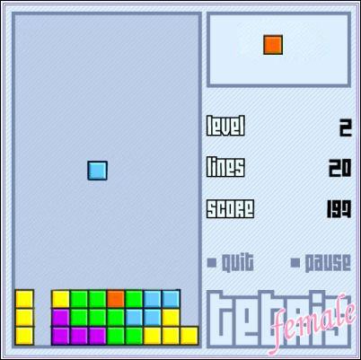 Obrázek tetris female