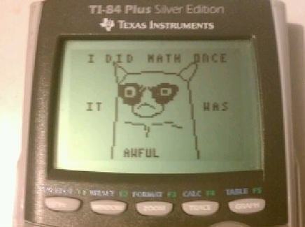 Obrázek texas instruments grumpy cat