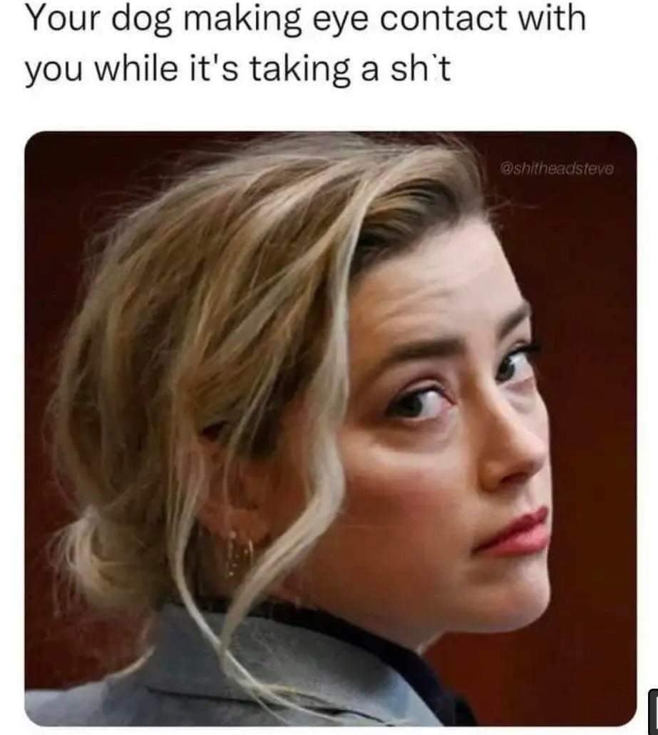 Obrázek that poop look