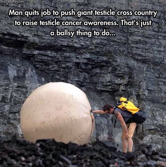 Obrázek thats very ballsy