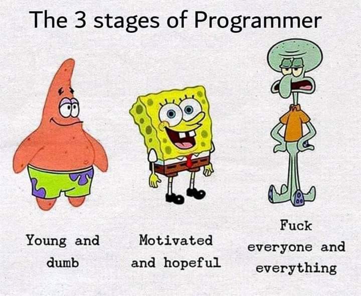 Obrázek the 3 stages of programmer