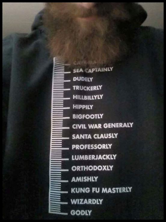 Obrázek the beard guide sweatshirt 