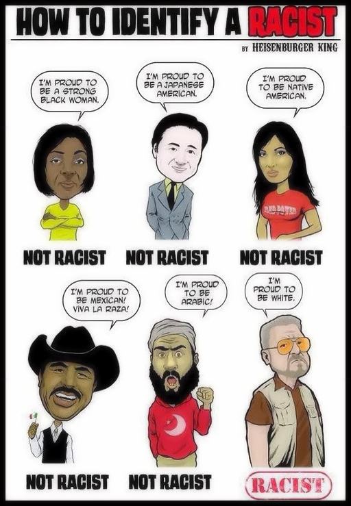 Obrázek the chart for determining racist in america 540