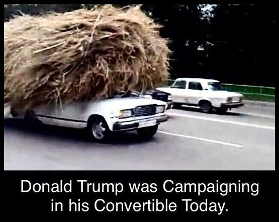 Obrázek the donald trump campaign convertible 