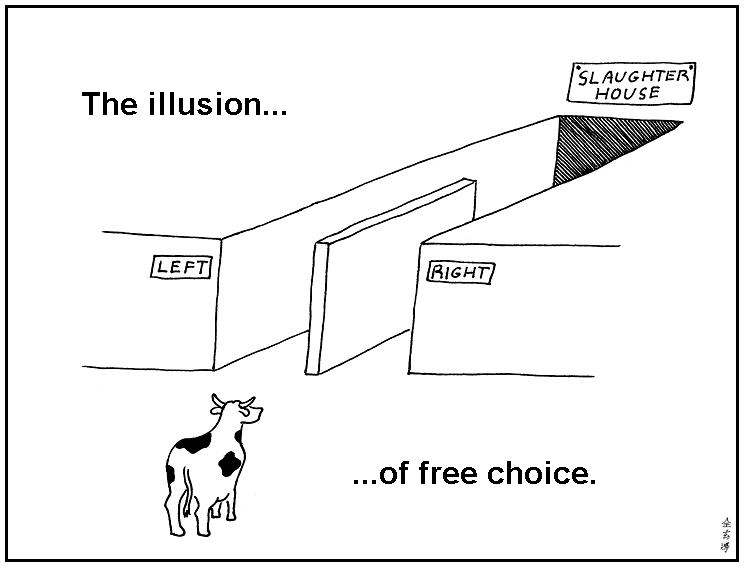 Obrázek the illusion