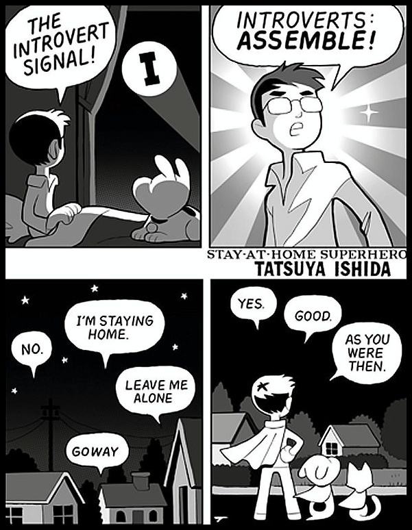 Obrázek the introvert signal