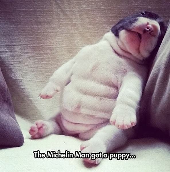 Obrázek the michelin man