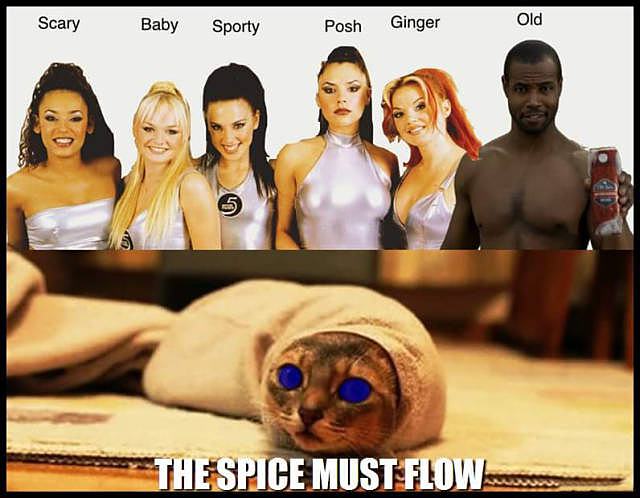 Obrázek the spice must flow