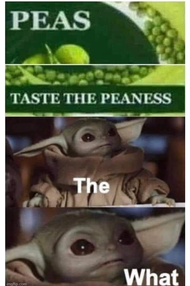 Obrázek the what
