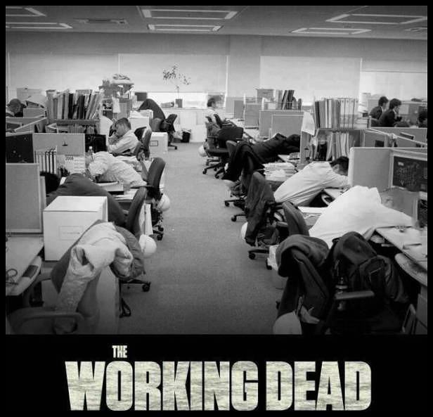 Obrázek the working dead
