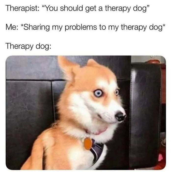 Obrázek therapy dog