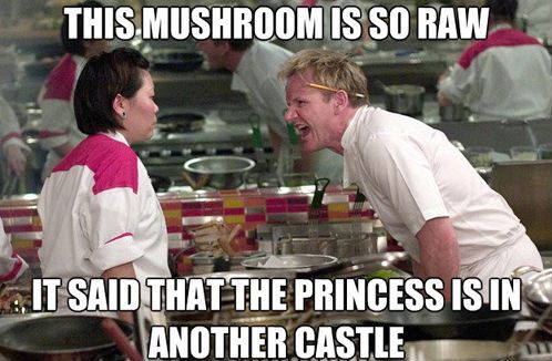 Obrázek this-mushroom-is-so-raw-gordon-ramsay