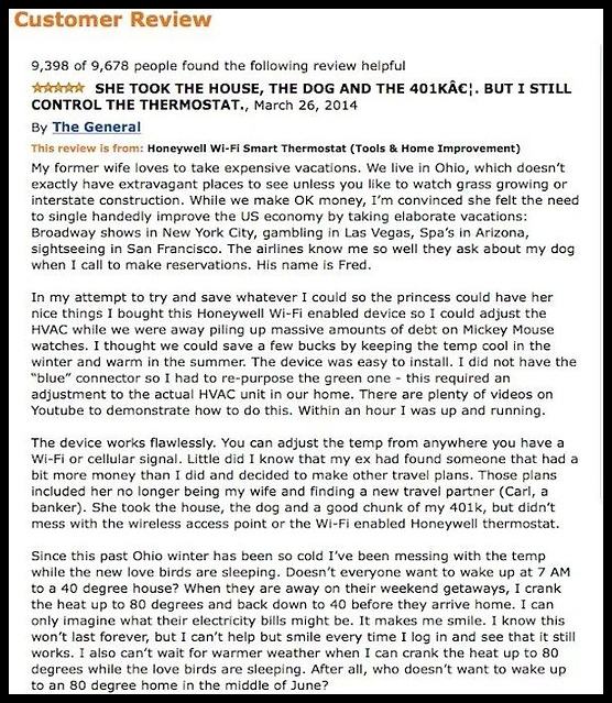 Obrázek this could be the greatest amazon review ever 