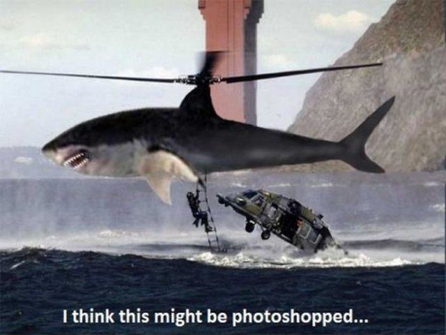 Obrázek this shopped