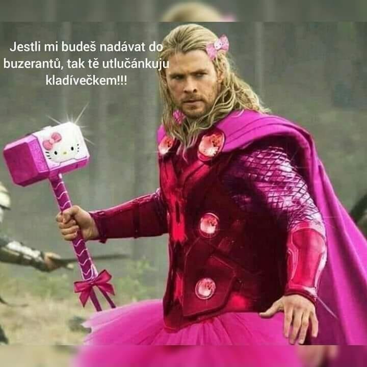 Obrázek thor