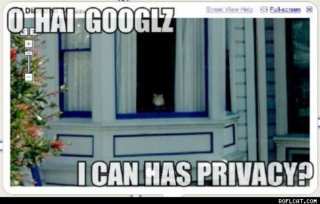 Obrázek thumb Google Street View Cat