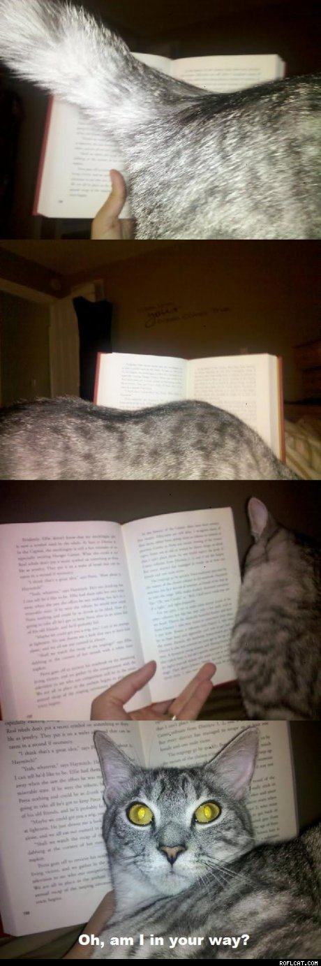 Obrázek thumb Why I Can t Read Books