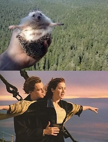 Obrázek titanic.  