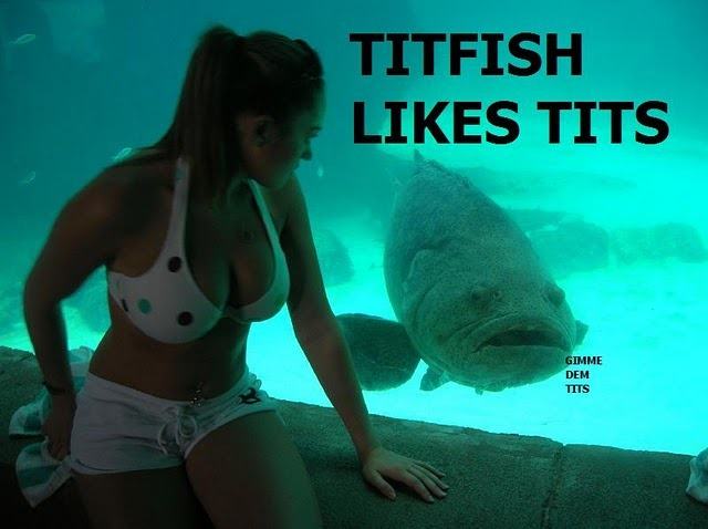 Obrázek titfish