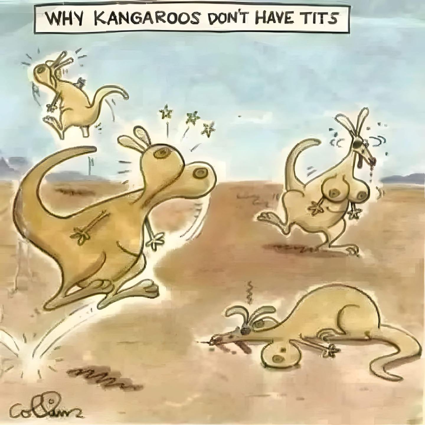 Obrázek titted kangaroos
