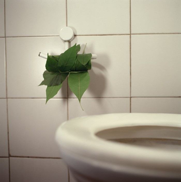 Obrázek toaletak pro zelene
