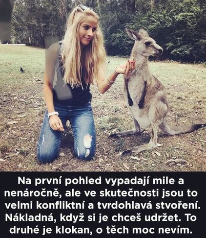 Obrázek tohle doma nechtejte