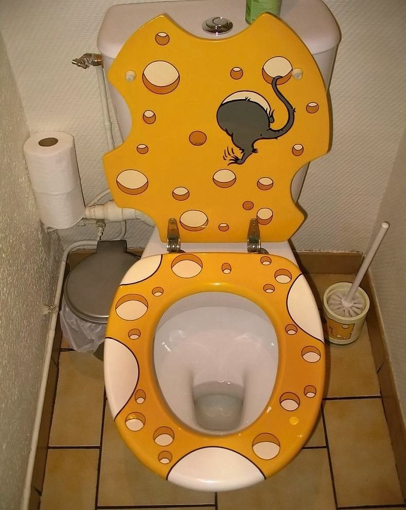 Obrázek toilet-good-idea