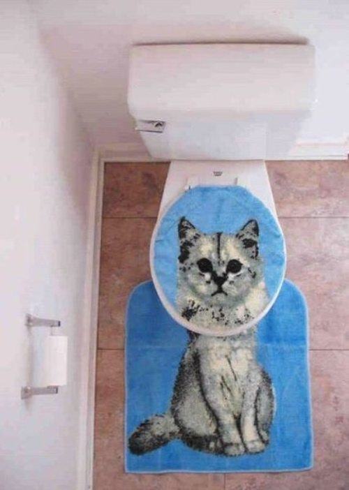 Obrázek toilet cat