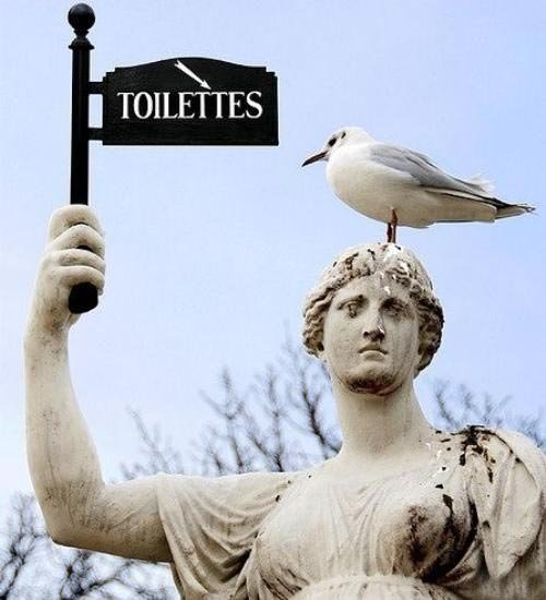 Obrázek toilettees