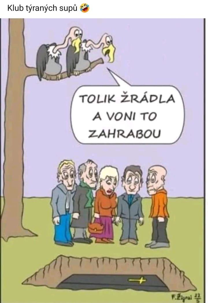 Obrázek tolik skody