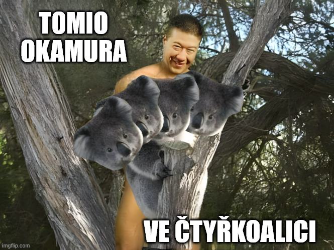 Obrázek tomio-ve-4koalici