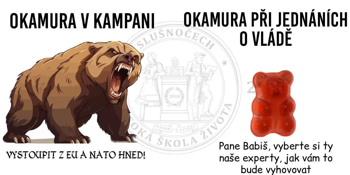 Obrázek tomiomedved