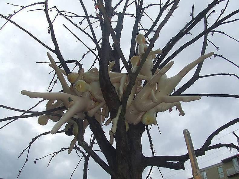 Obrázek toytree&nbsp;&nbsp;&nbsp;&nbsp;&nbsp;