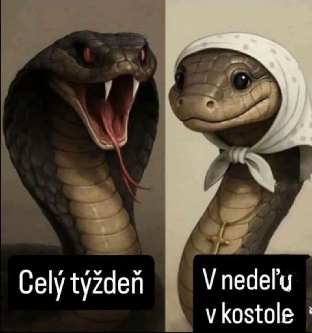 Obrázek tradicna krestanska moralka 