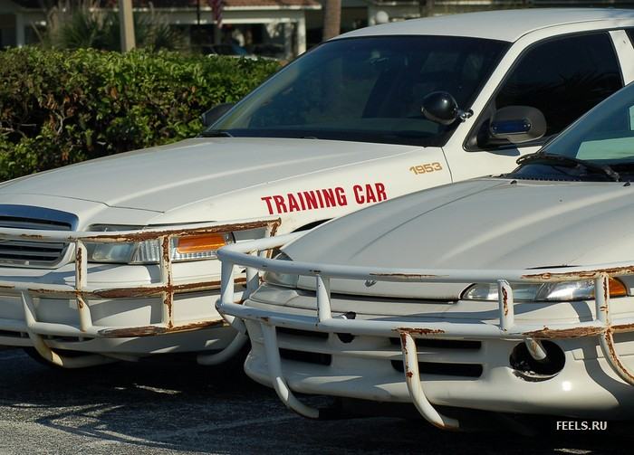 Obrázek training car