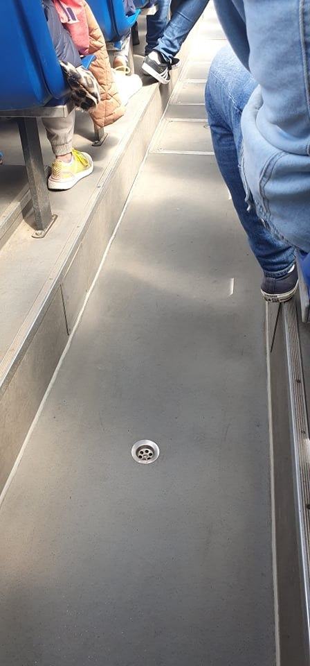 Obrázek tramvaj s odtokem