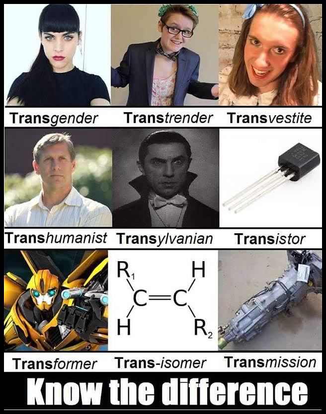 Obrázek trans. . . 