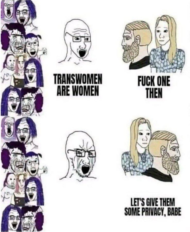 Obrázek trans
