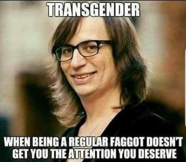 Obrázek transfaggot
