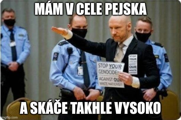 Obrázek trener pejsku
