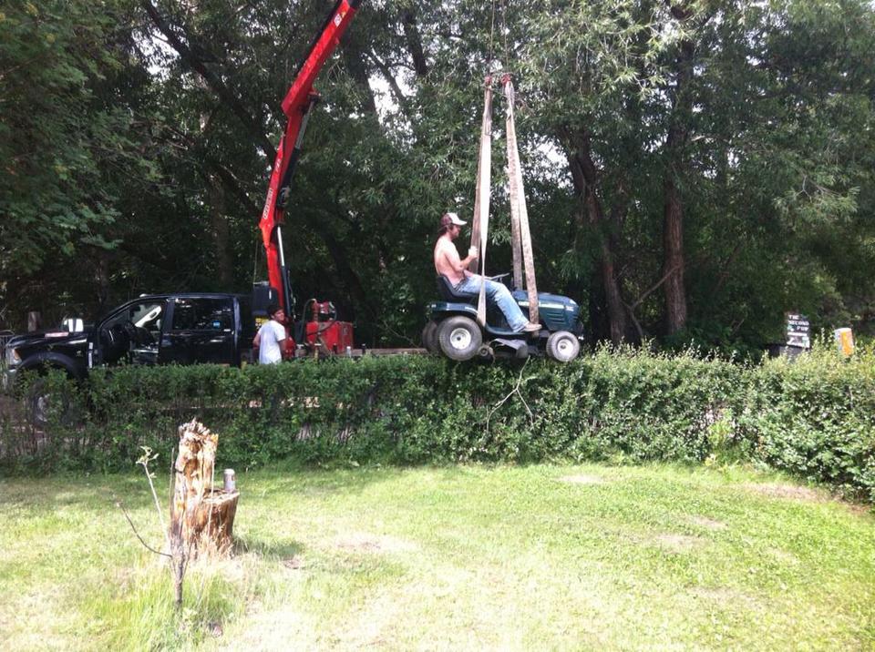 Obrázek trimming the hedges like a boss