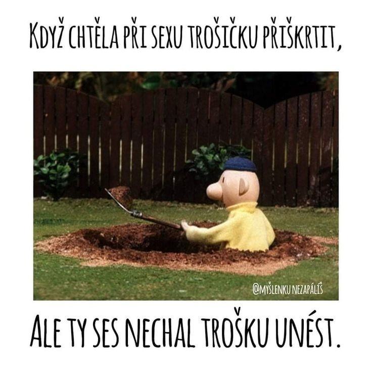 Obrázek trosku unest