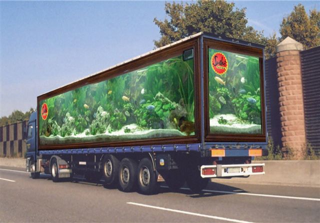 Obrázek truck-art-1