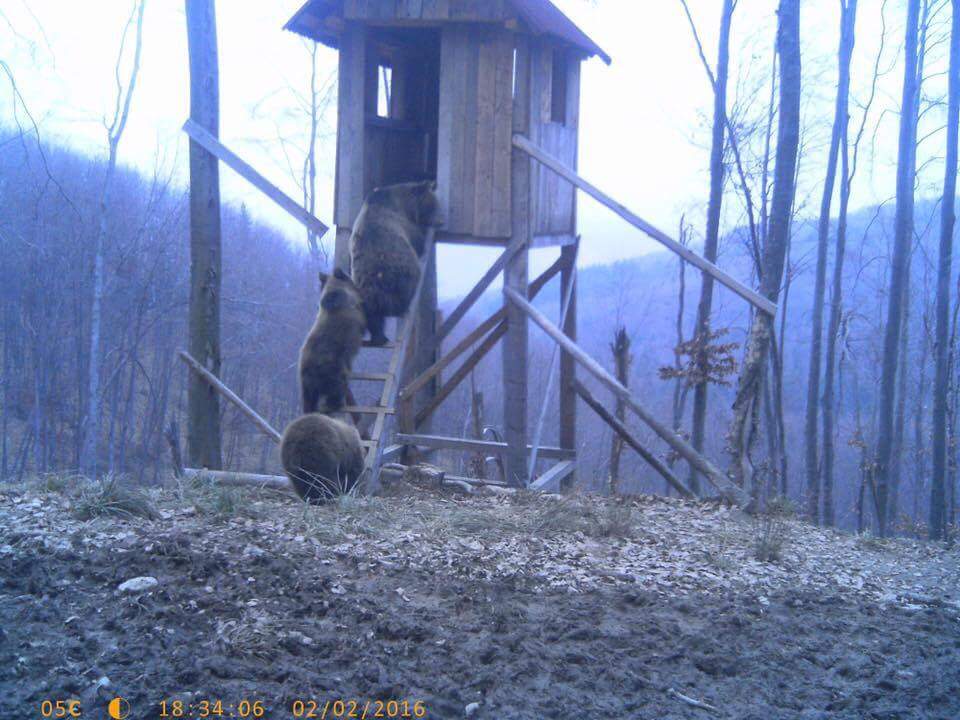 Obrázek tu sa schovame